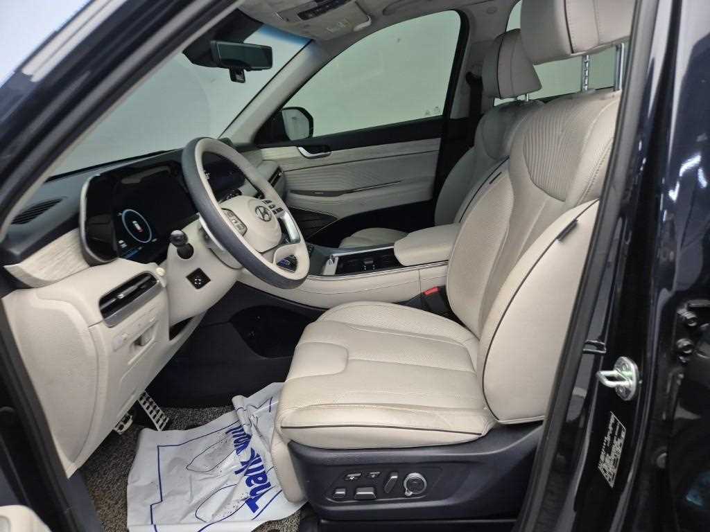 HYUNDAI Palisade - Vista 11