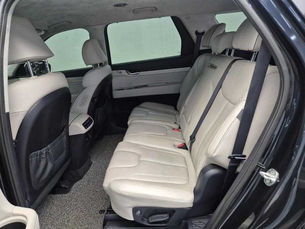 HYUNDAI Palisade - Vista 12