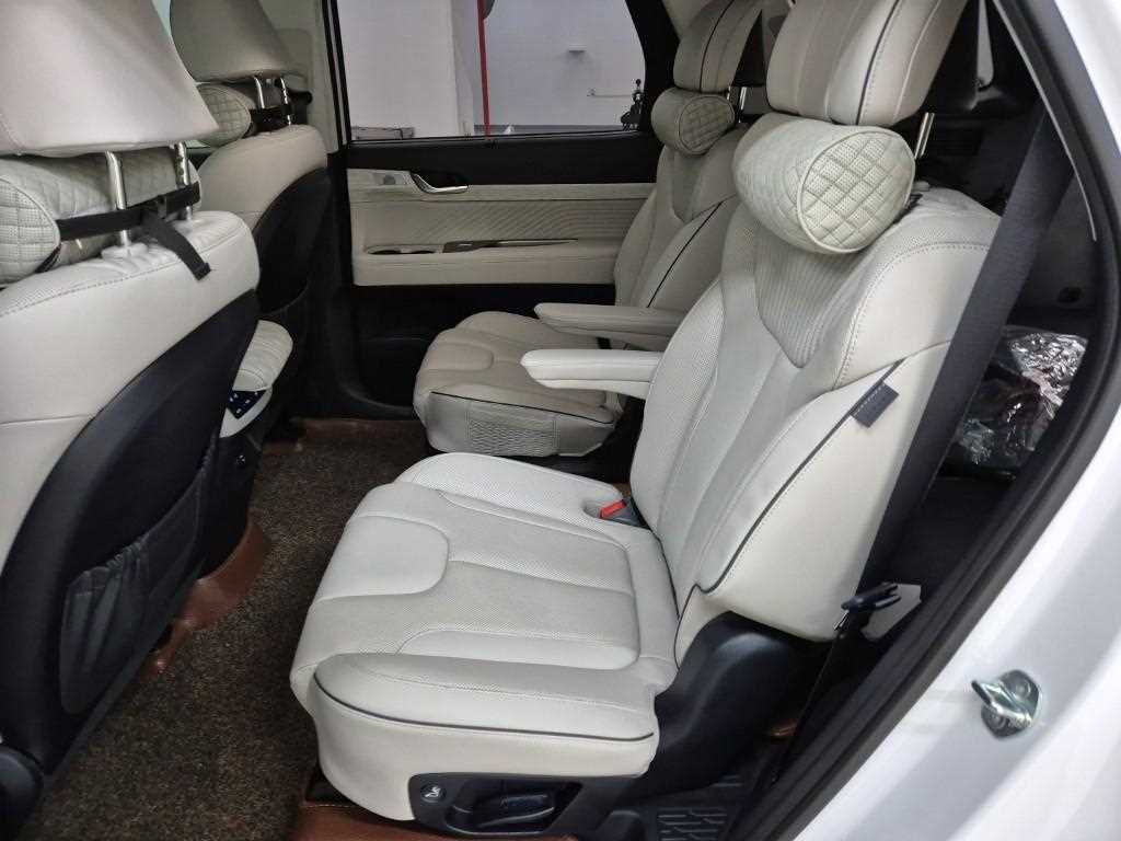 HYUNDAI Palisade - Vista 12