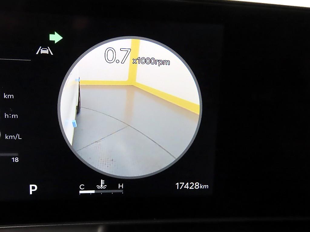 KIA Carnival - Vista 8