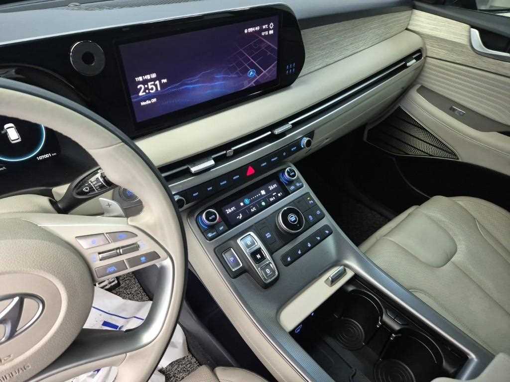 HYUNDAI Palisade - Vista 10