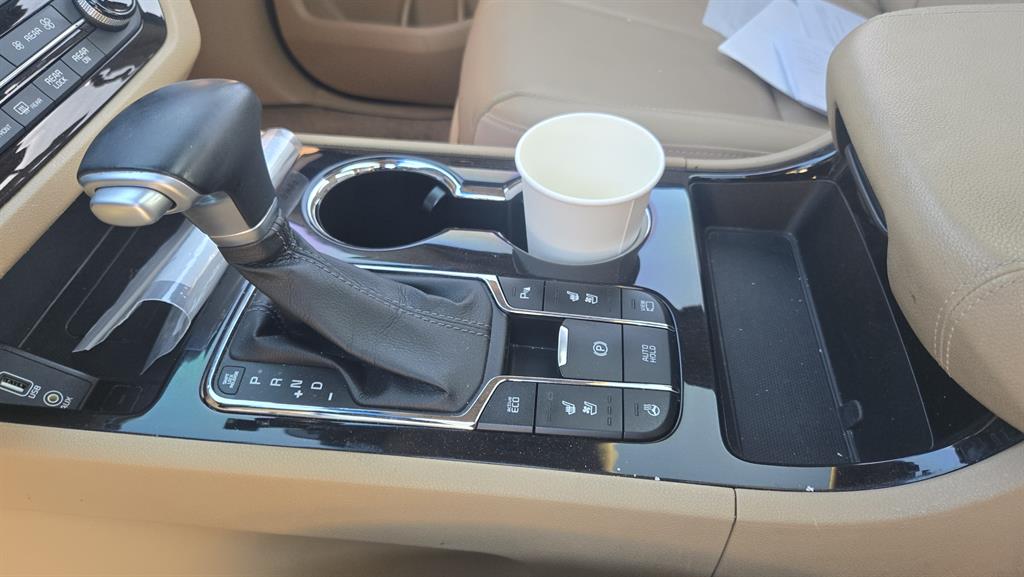 KIA Carnival - Vista 4