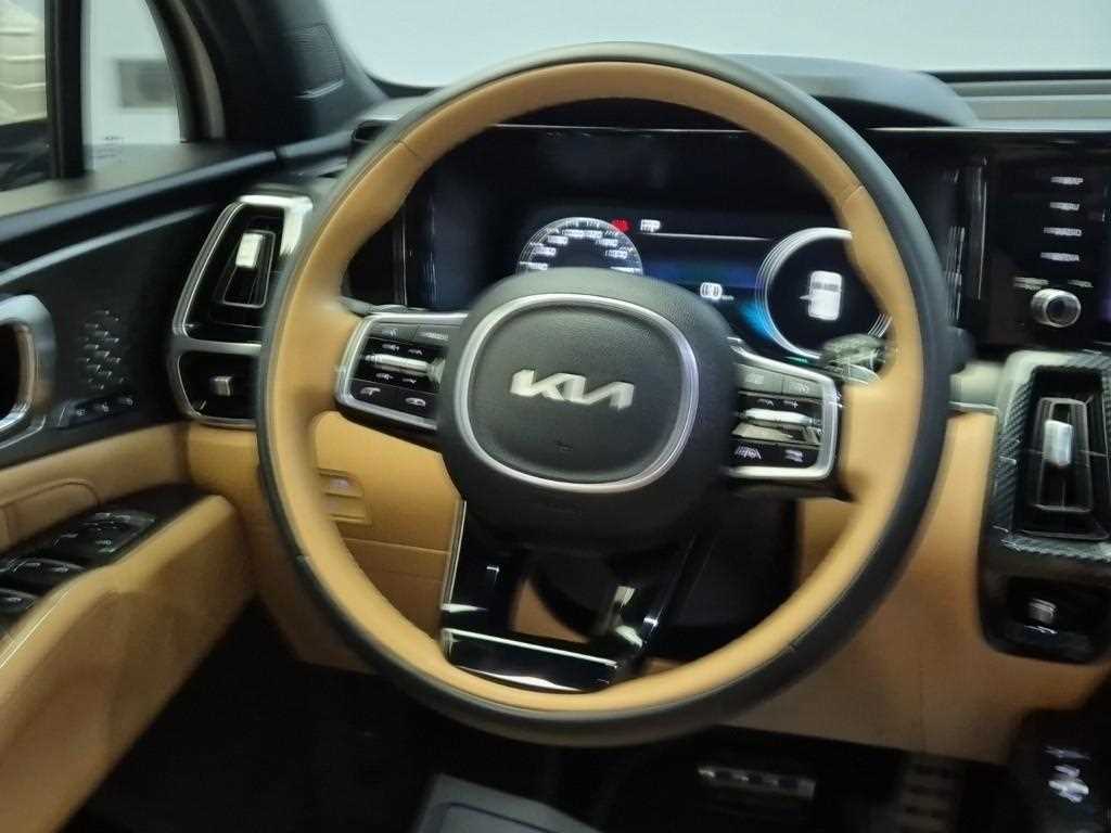 KIA Sorento - Vista 9