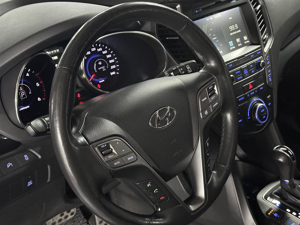 HYUNDAI Maxcruz - Vista 11