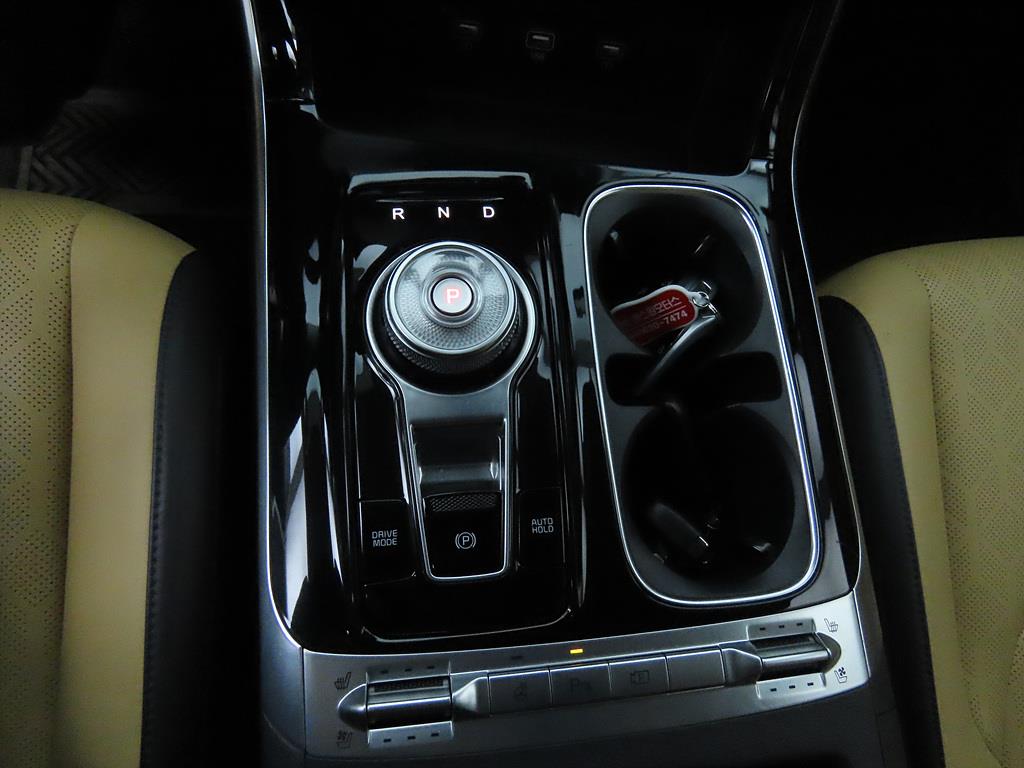 KIA Carnival - Vista 12