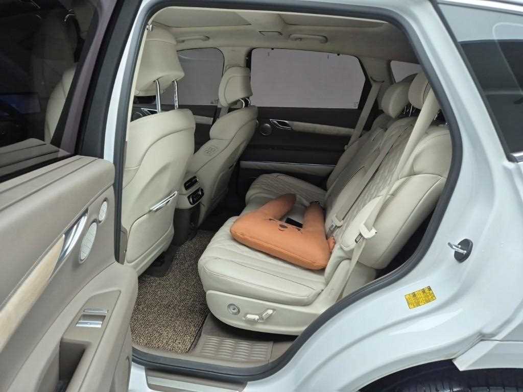 Genesis GV80 - Vista 12