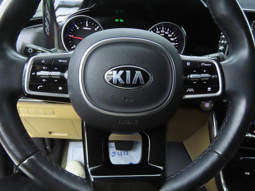 KIA Carnival - Vista 9
