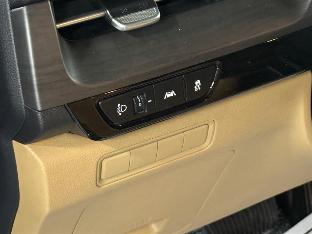 KIA Carnival - Vista 12