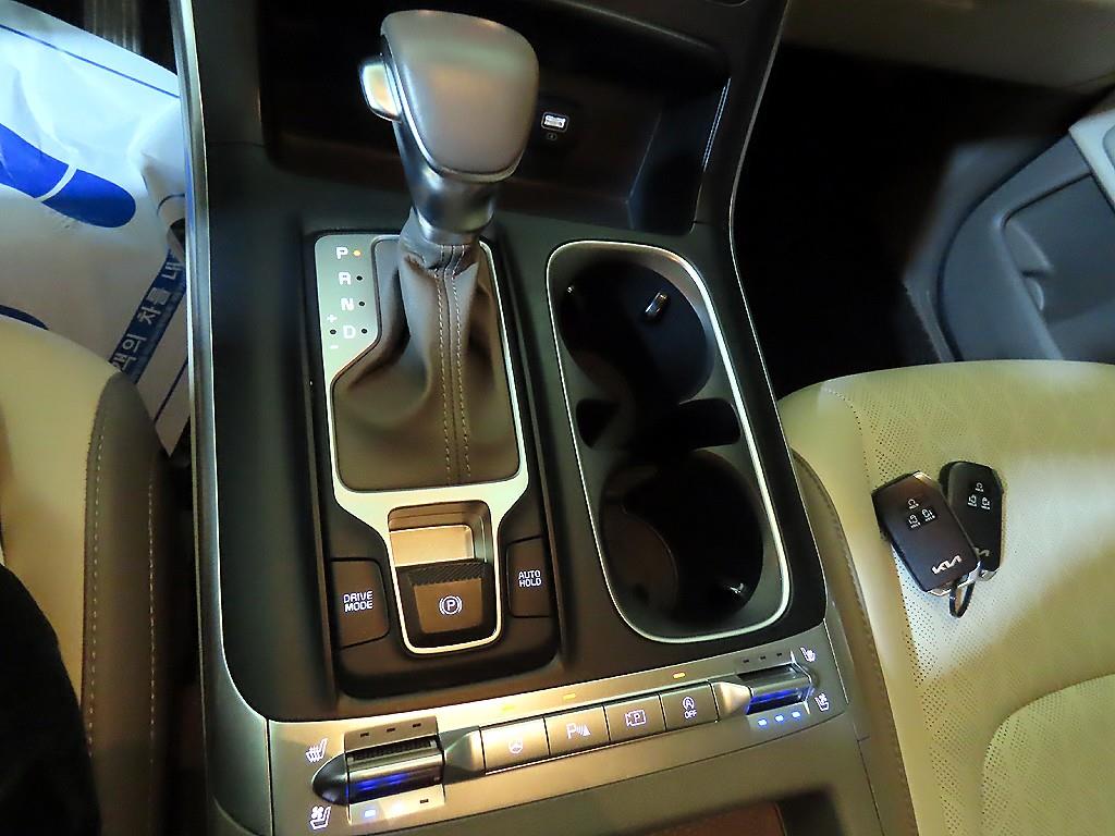 KIA Carnival - Vista 12