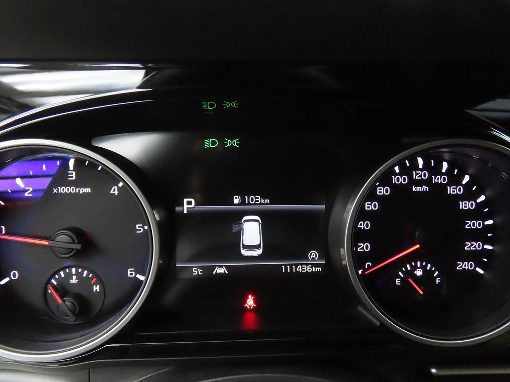 KIA Carnival - Vista 8