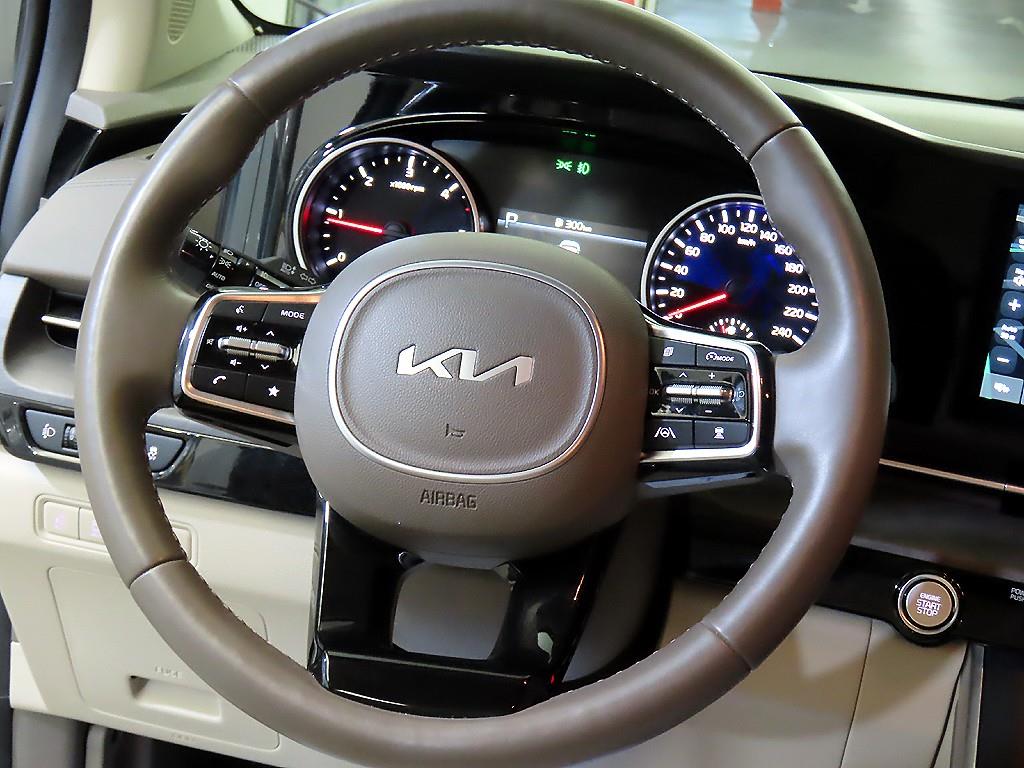 KIA Carnival - Vista 8