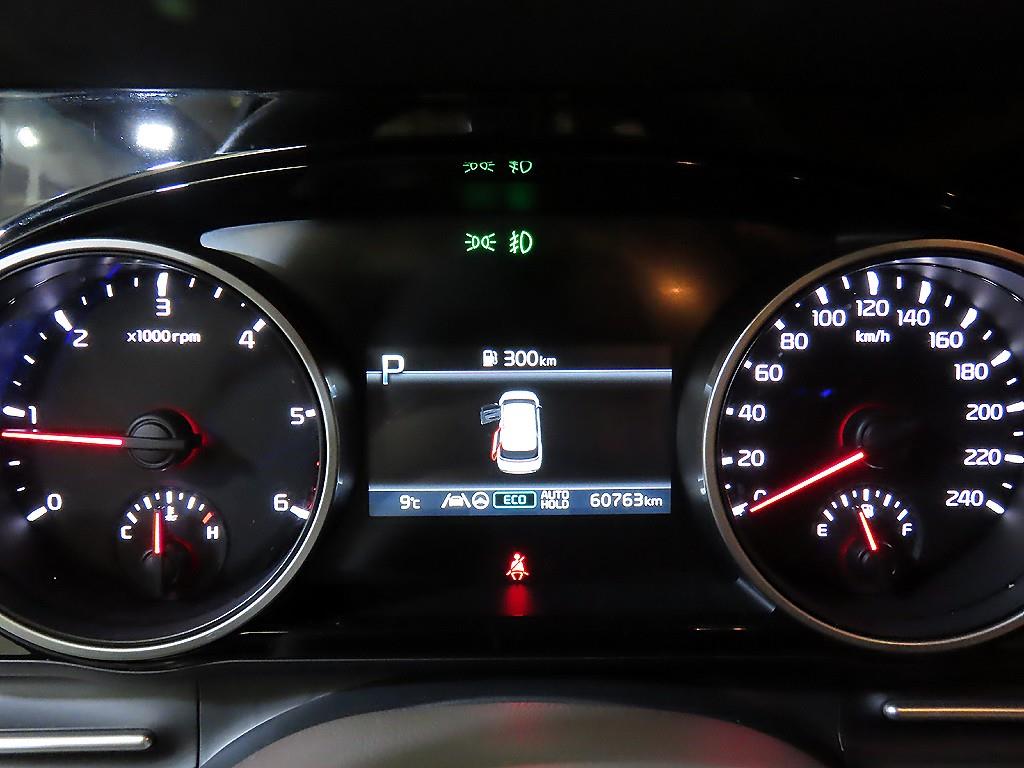 KIA Carnival - Vista 9