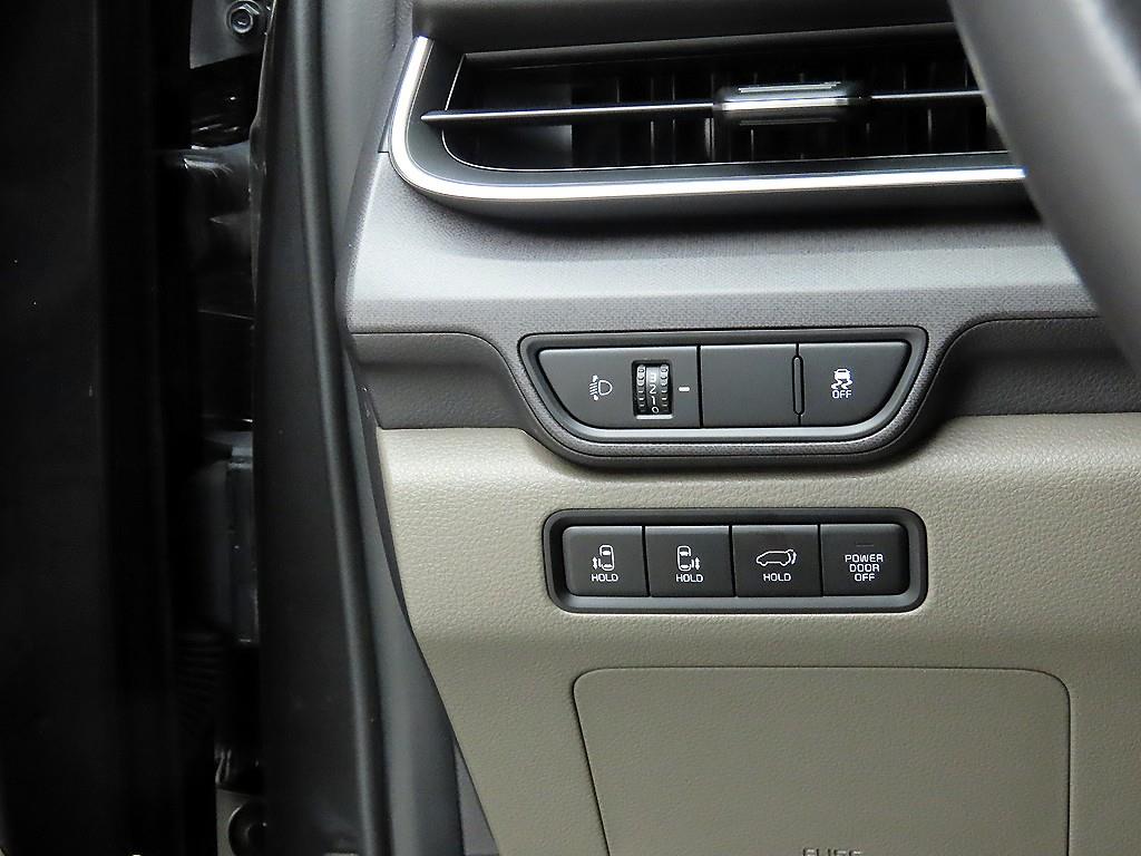 KIA Carnival - Vista 11