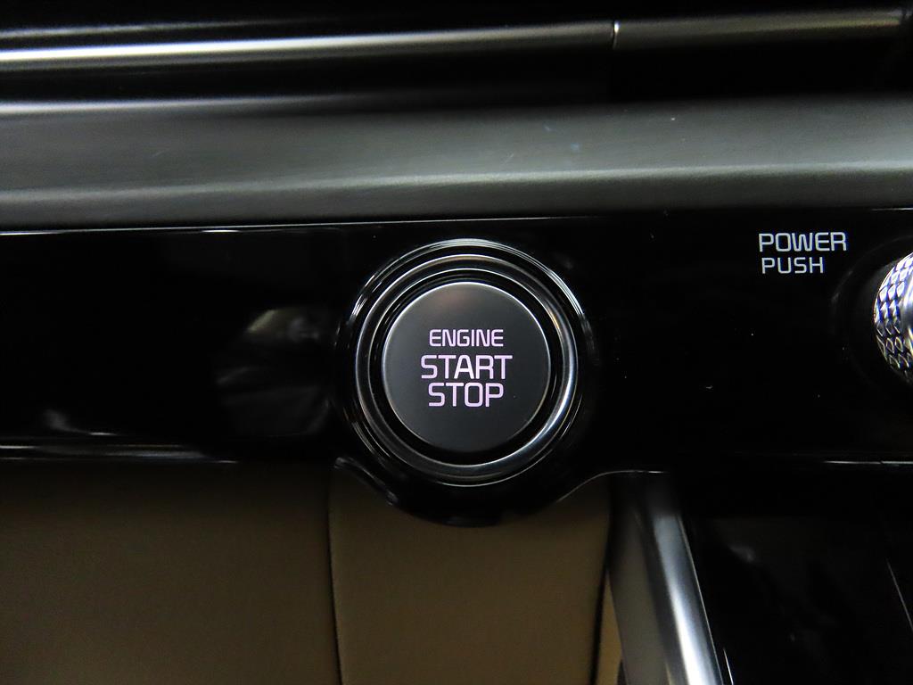 KIA Carnival - Vista 12