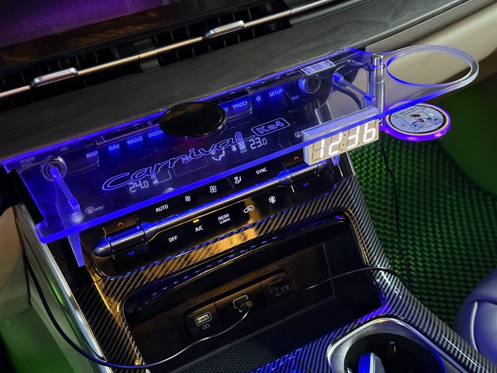 KIA Carnival - Vista 12