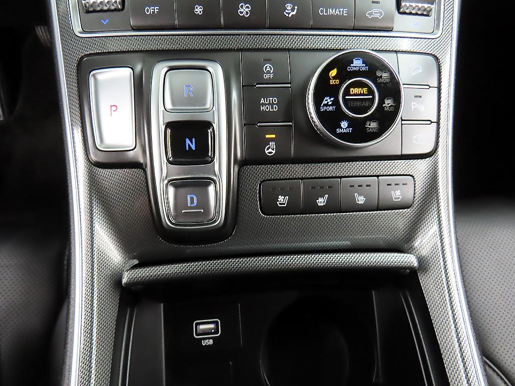 HYUNDAI Santa Fe - Vista 10