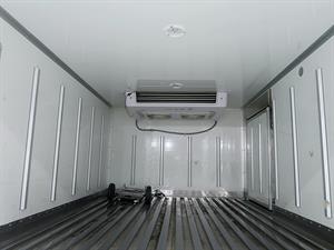 Small Truck Freezer Box(Low Deck) - Vista 10