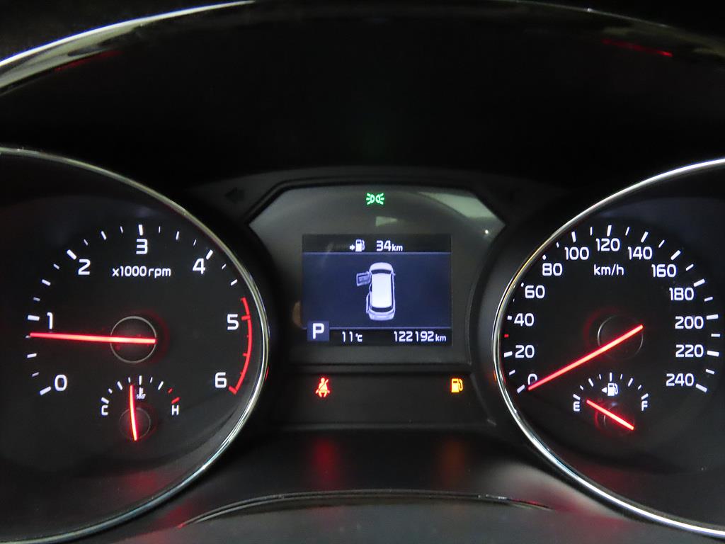 KIA Carnival - Vista 12