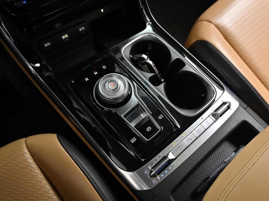 KIA Carnival - Vista 9