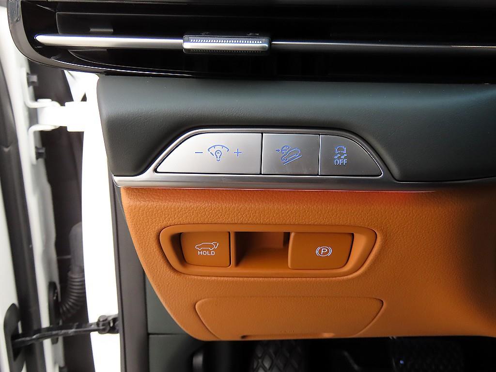 Genesis GV80 - Vista 12