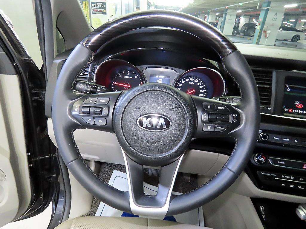 KIA Carnival - Vista 8