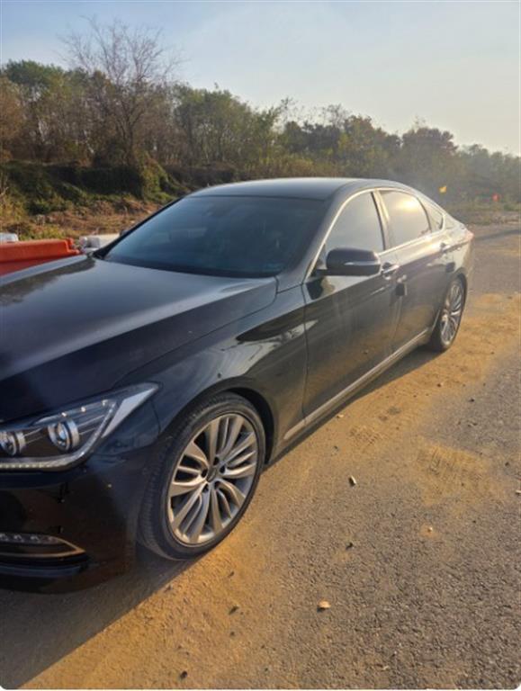 HYUNDAI Genesis - Vista 3