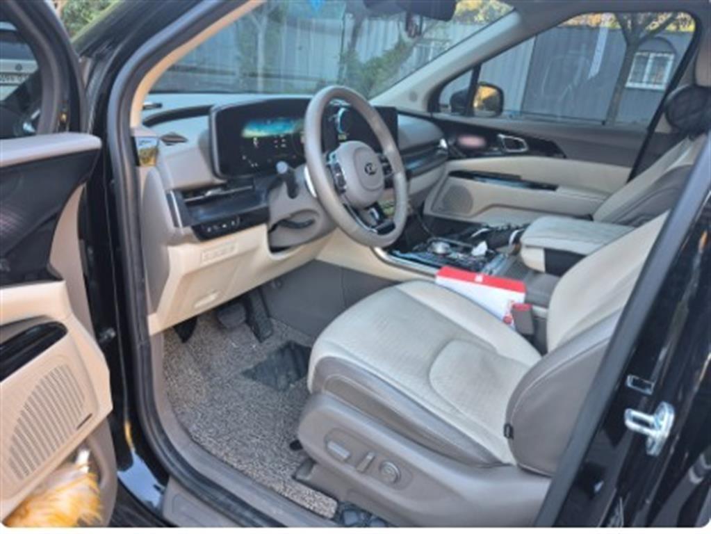 KIA Carnival - Vista 6