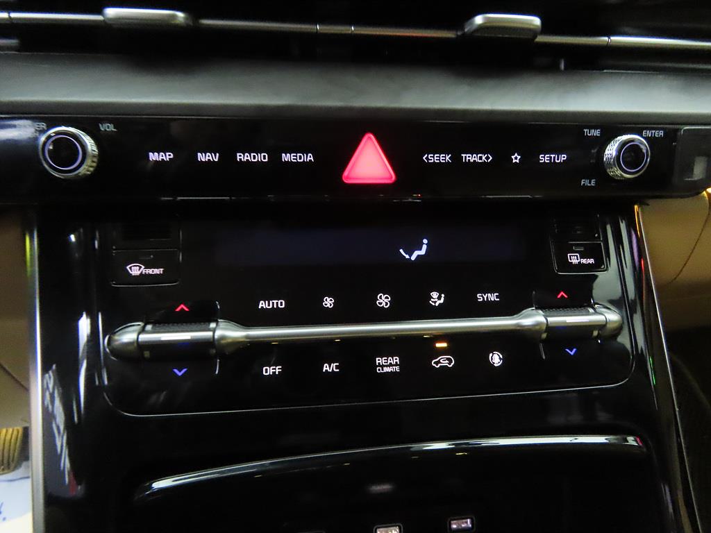 KIA Carnival - Vista 12