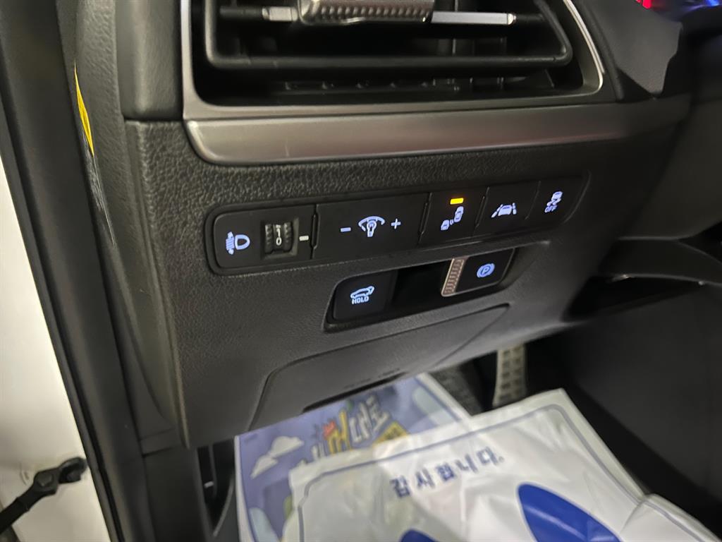 HYUNDAI Palisade - Vista 12