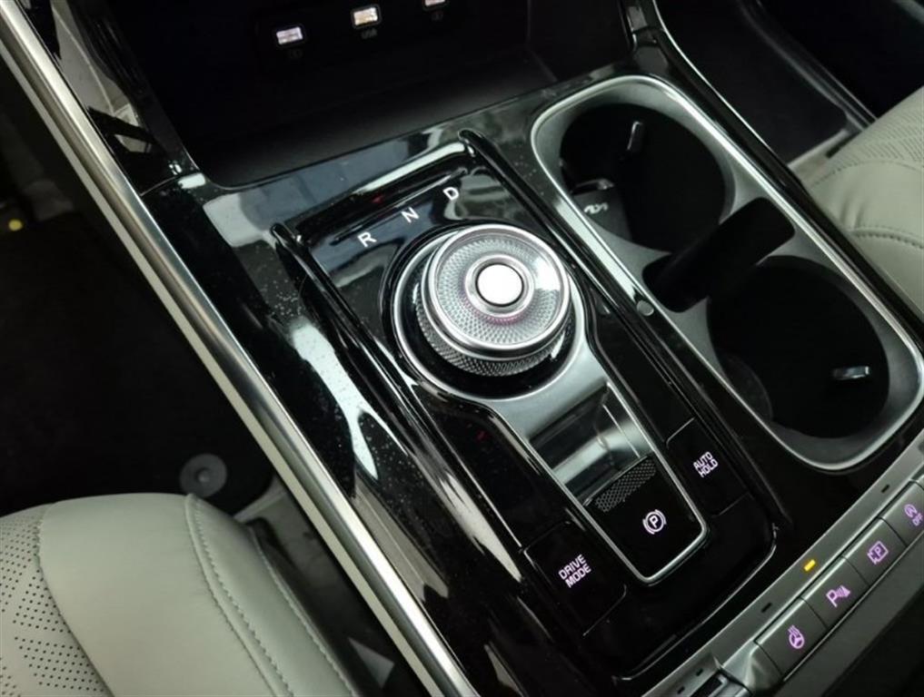 KIA Carnival - Vista 8