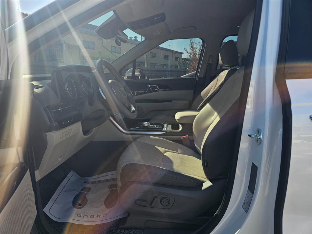 KIA Carnival - Vista 10