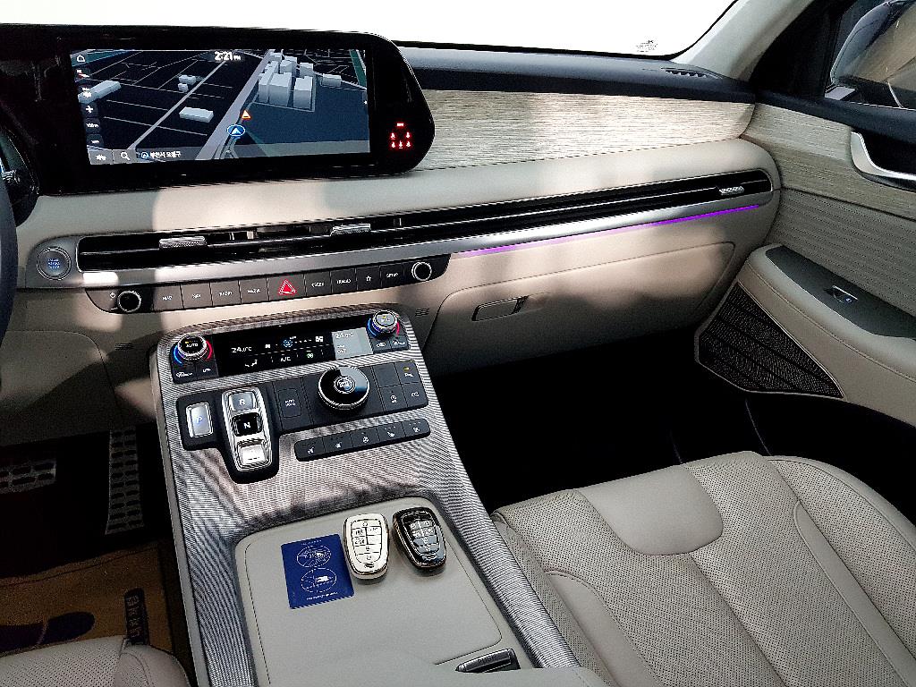 HYUNDAI Palisade - Vista 10