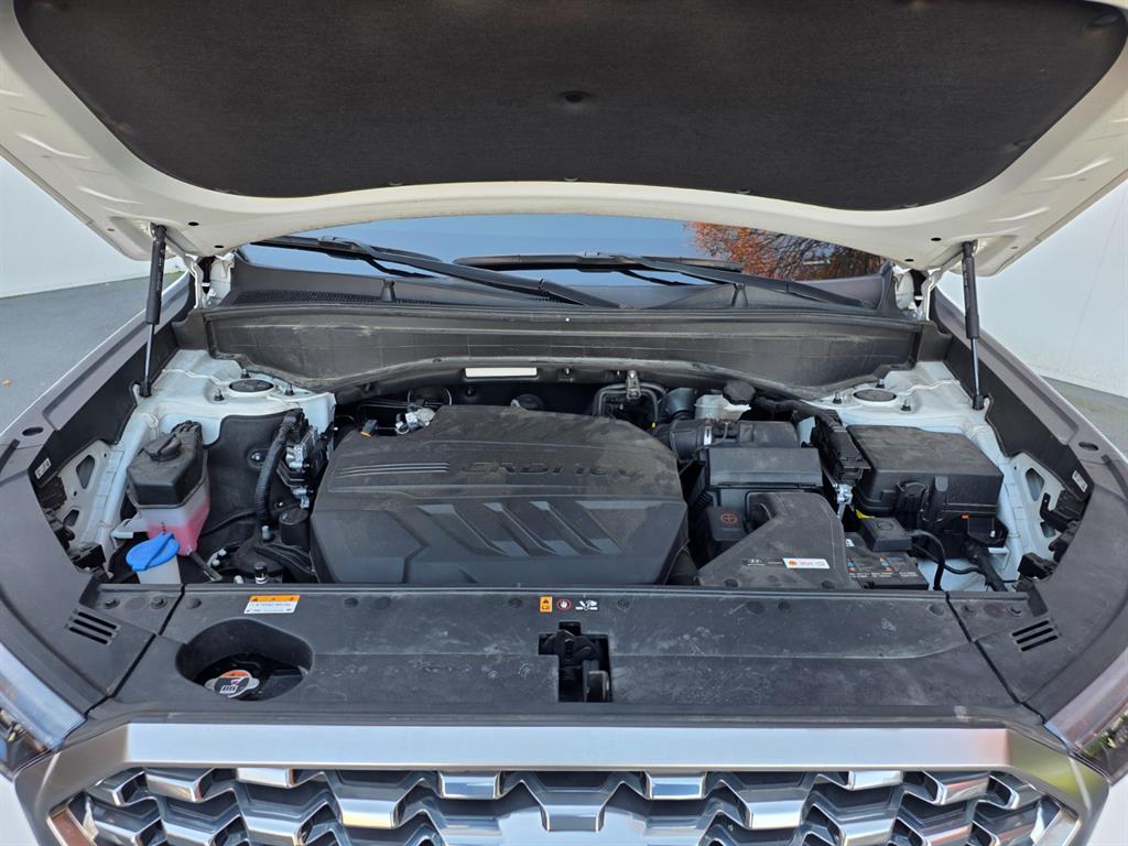 HYUNDAI Palisade - Vista 6