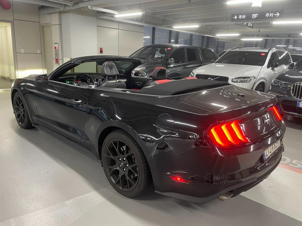 Ford Mustang - Vista 4