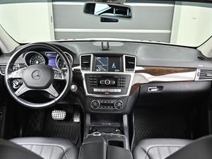 Mercedes Benz GL Class - Vista 10