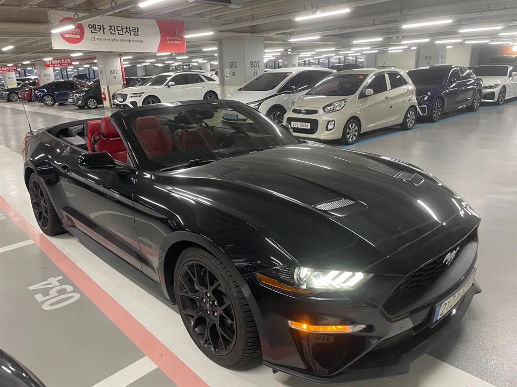 Ford Mustang - Vista 7