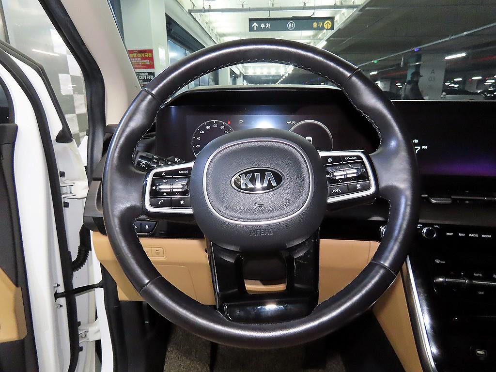 KIA Carnival - Vista 8