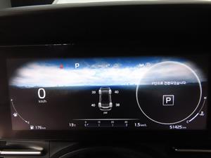 KIA Carnival - Vista 12