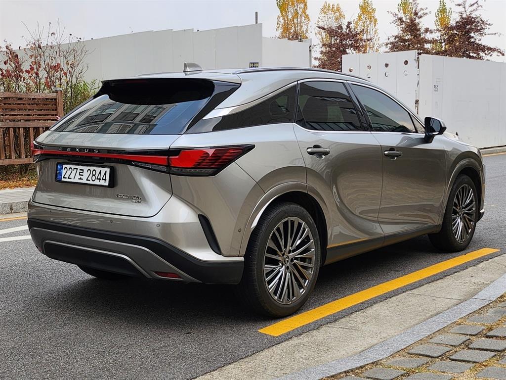 Lexus RX - Vista 5
