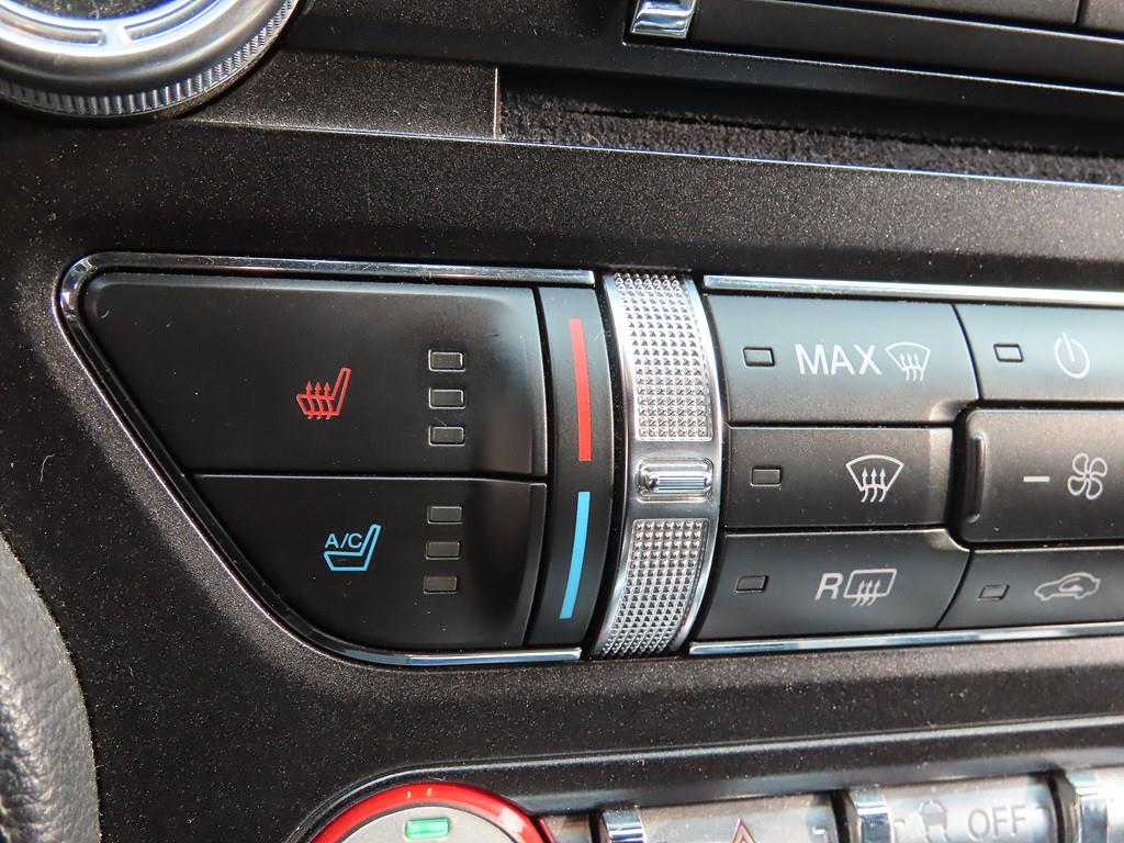 Ford Mustang - Vista 11