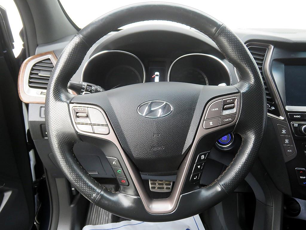 HYUNDAI Maxcruz - Vista 11