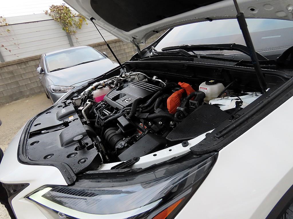 Lexus NX 2024 Blanco - Importación desde Corea - HF Imports Iquique - Foto 19