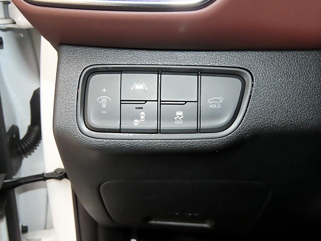 HYUNDAI Santa Fe - Vista 12