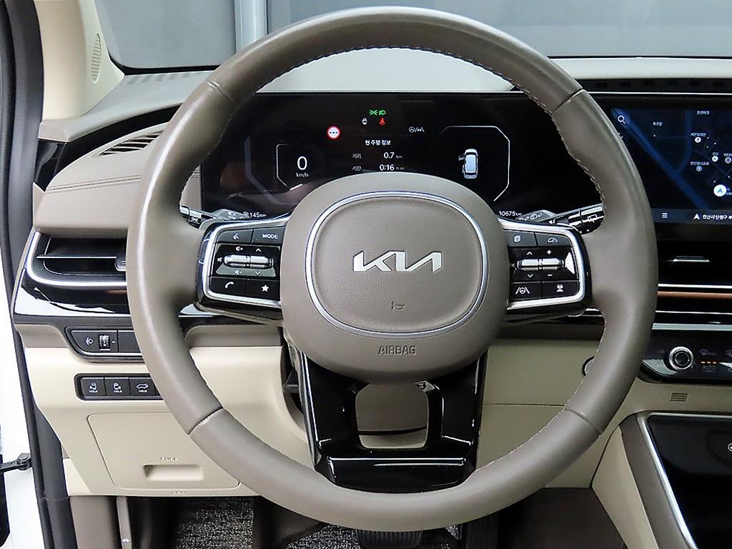 KIA Carnival - Vista 9