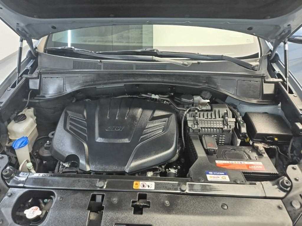 HYUNDAI Maxcruz - Vista 5