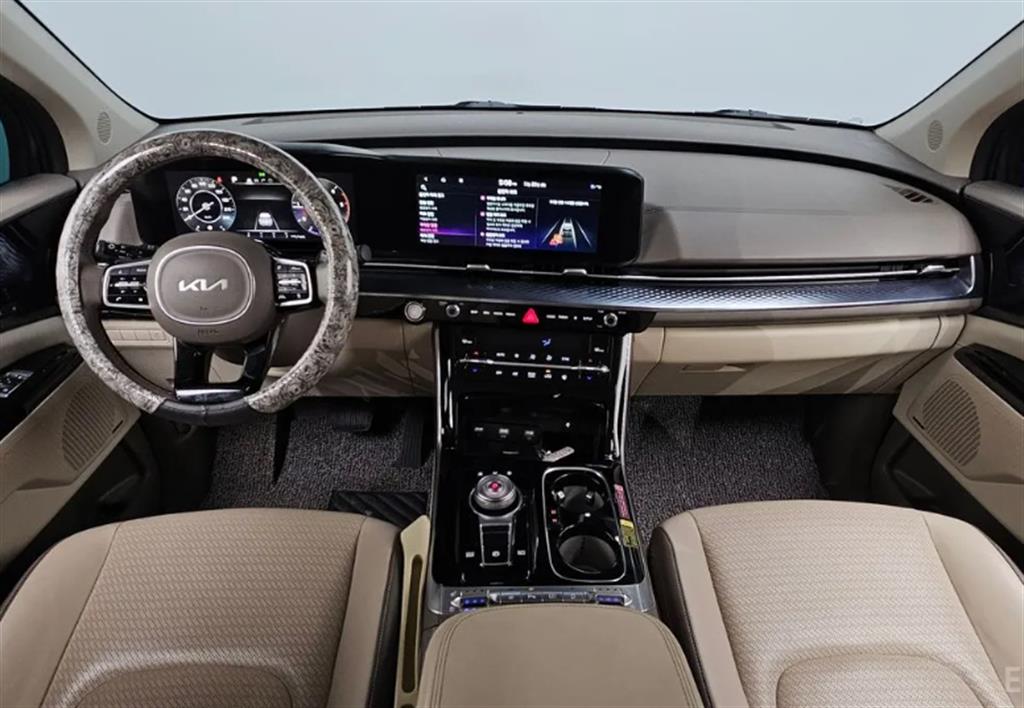 KIA Carnival - Vista 9