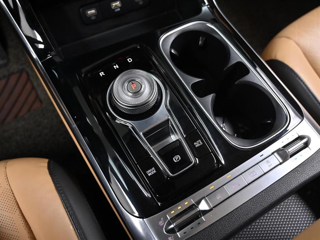 KIA Carnival - Vista 9