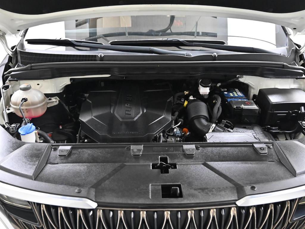 KIA Carnival - Vista 6