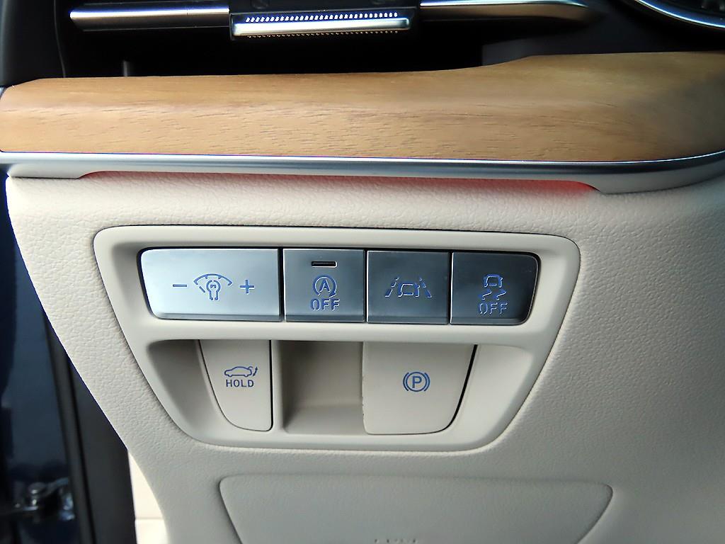 Genesis G80 - Vista 12