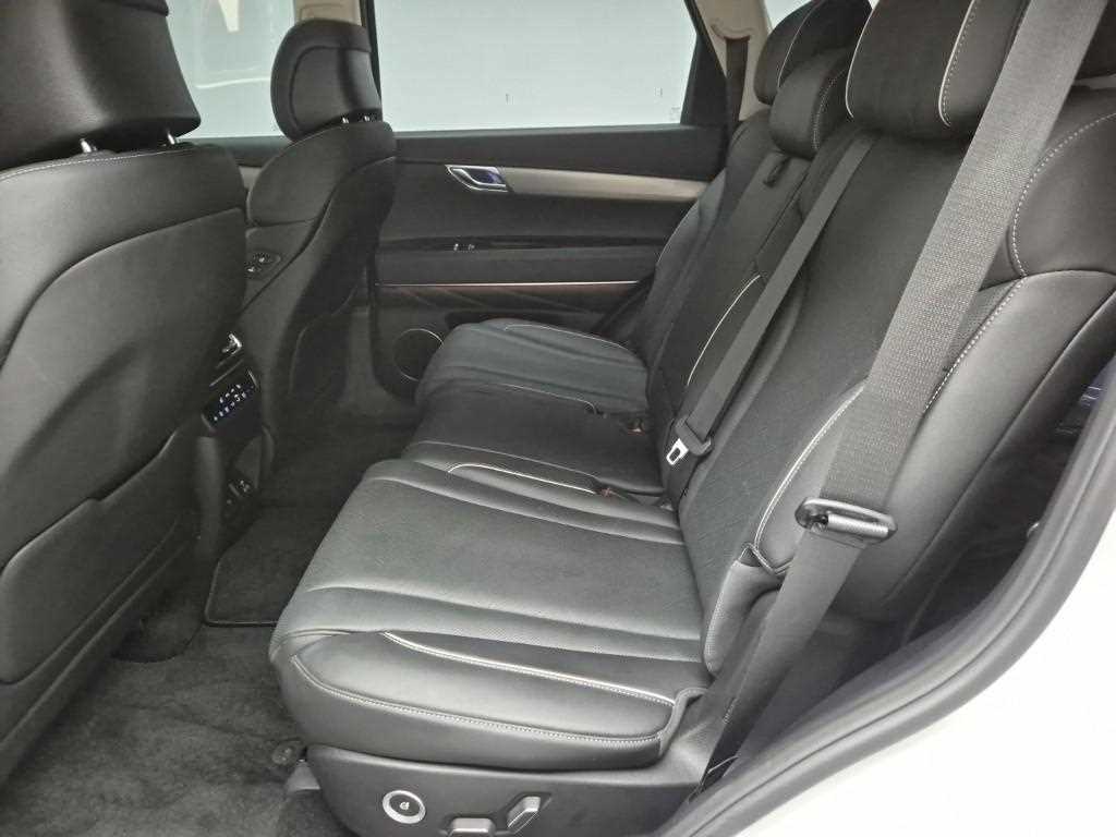 Genesis GV80 - Vista 12